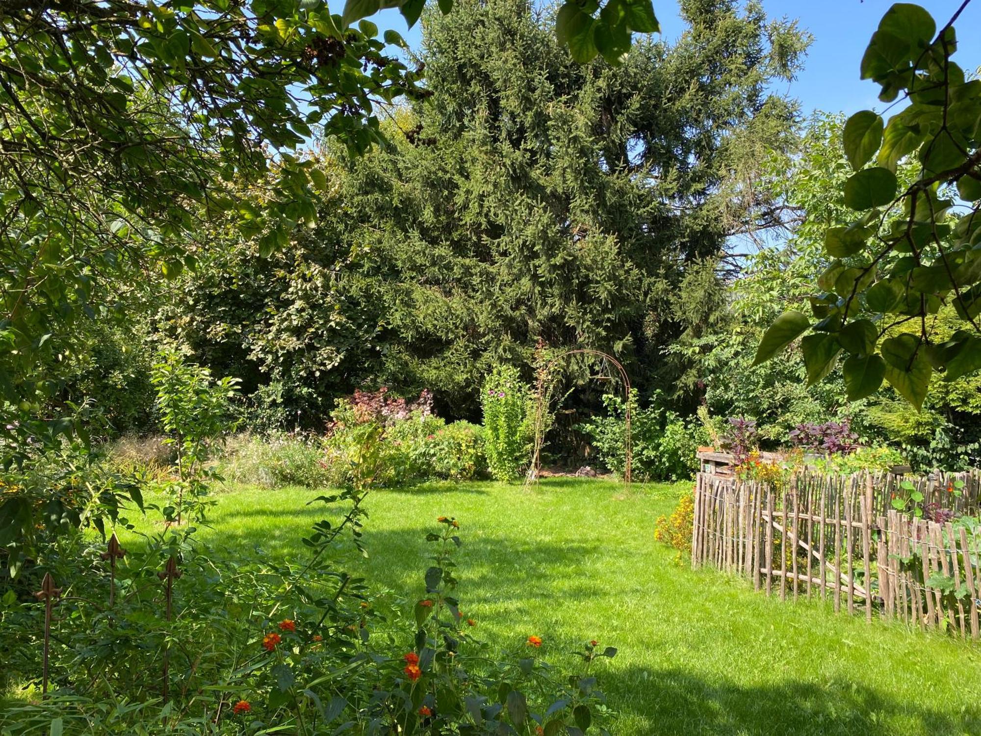 Robins Nest Apartment Detmold Bagian luar foto